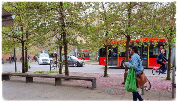 Fint på Carl Berners plass i Bydel Grünerløkka i Oslo.