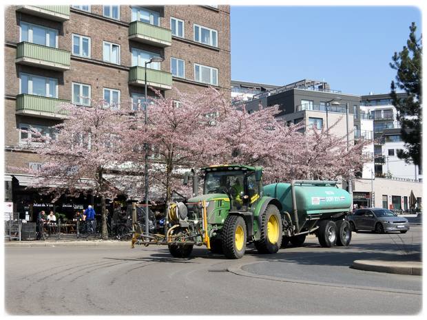 Fint når det blomstrer på Carl Berners plass i Bydel Grïnerløkka i Oslo!