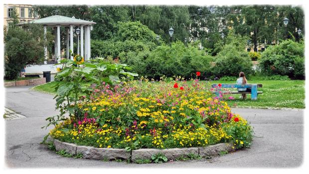 Fint blomsterbed i Birkelunden på Grünerløkka i Oslo. 