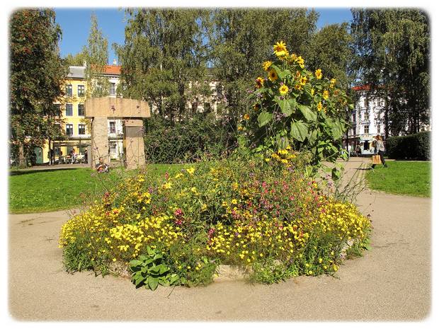 Flott blomsterbed i Birkelunden med «Spaniamonumentet i bakgrunnen. 